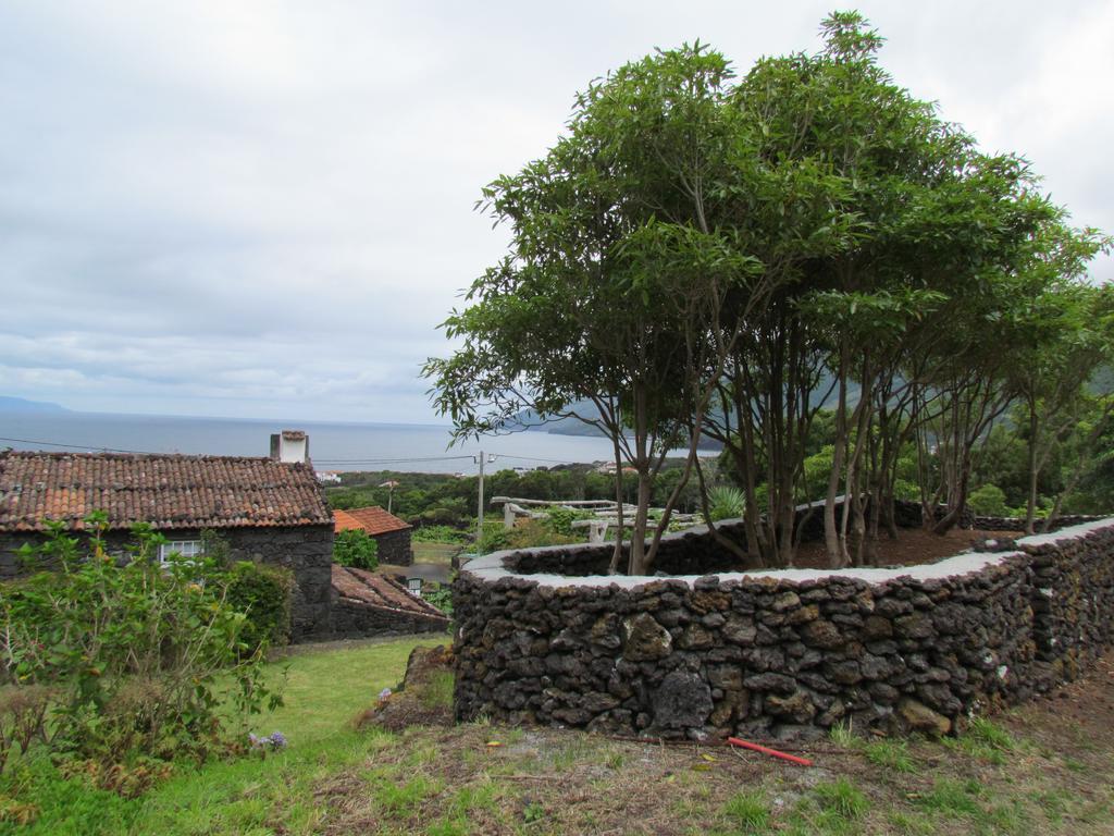Casas De Campo Housesinpico Prainha  エクステリア 写真