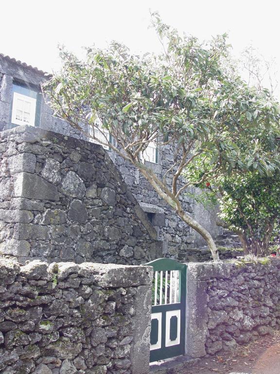 Casas De Campo Housesinpico Prainha  エクステリア 写真