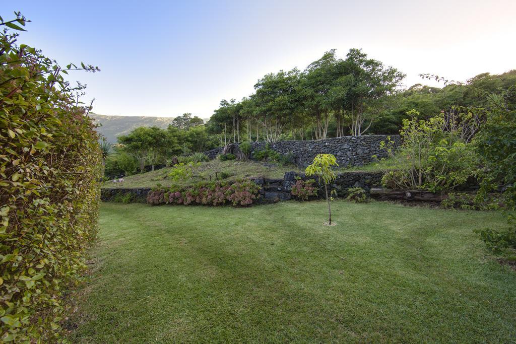 Casas De Campo Housesinpico Prainha  エクステリア 写真